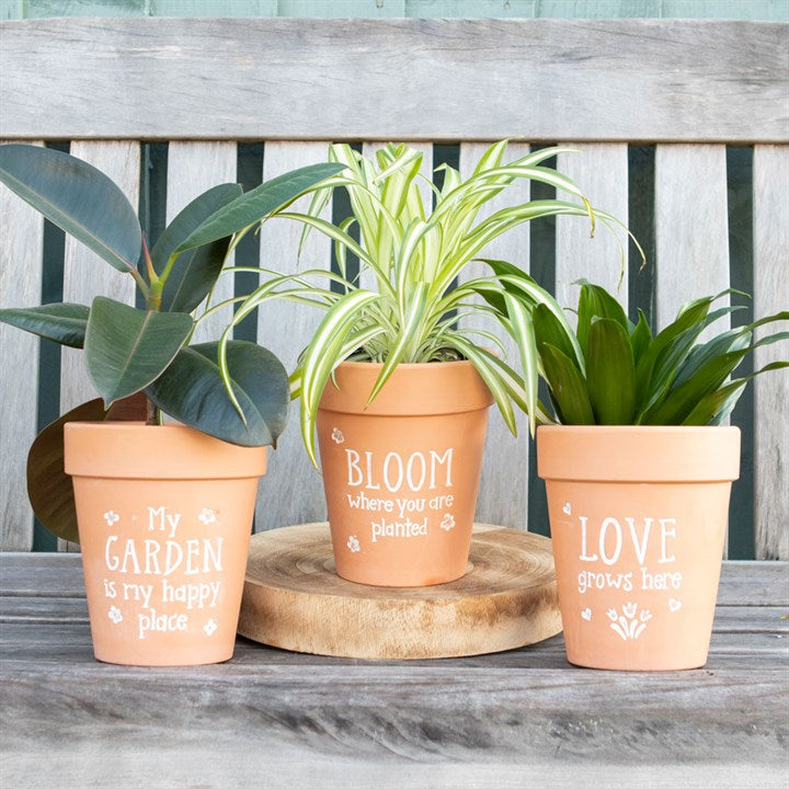 PLANT POTS & PLANTERS