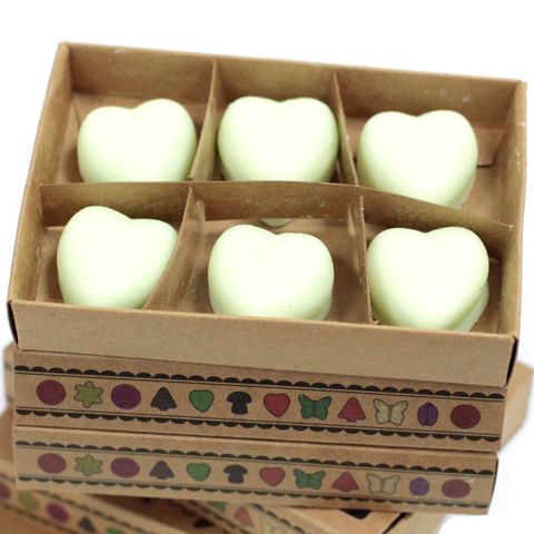 Watermelon Fresh Box of 6 Wax Melts