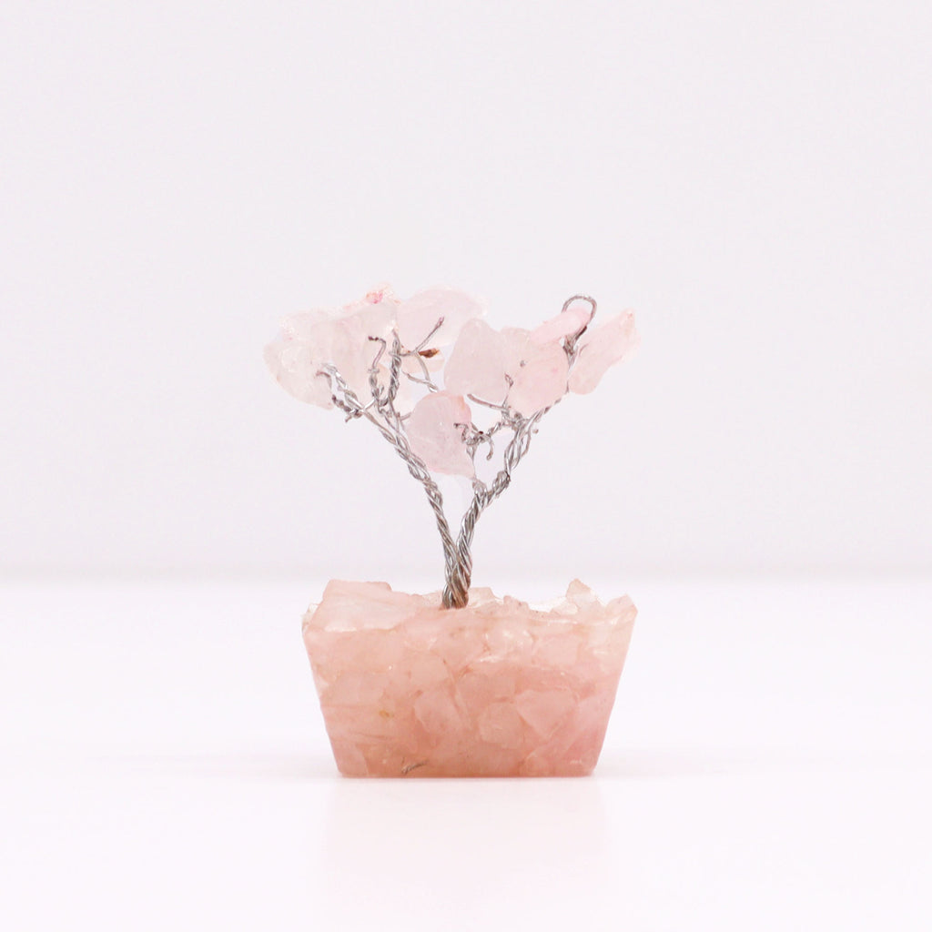 Eleanoras Rose Quartz Mini Gemstone Tree On Orgonite Base Crystals