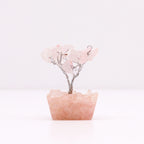 Eleanoras Rose Quartz Mini Gemstone Tree On Orgonite Base Crystals
