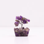 Eleanoras Amethyst (15 stones) Mini Gemstone Tree On Orgonite Base Crystals
