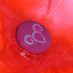 Sagittarius Set of Zodiac Bath Fizzers with Horoscope