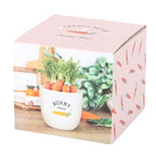Eleanoras Bunny Treats Ceramic Pot 