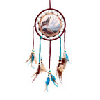 Mountain Wolf Dreamcatcher 16cm
