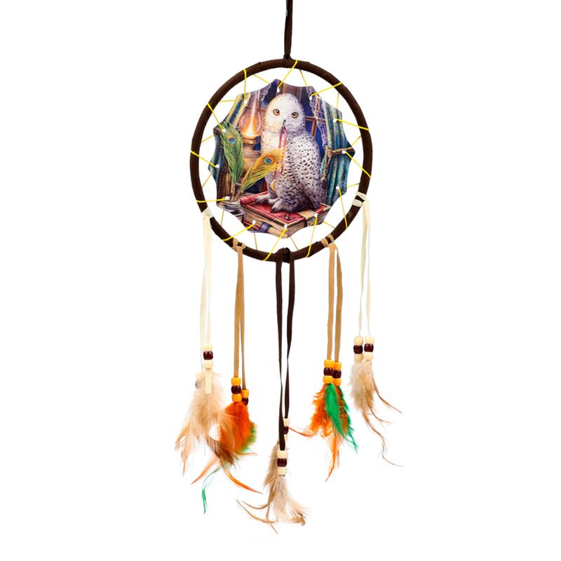 Eleanoras Lisa Parker Guardian of Spells Owl Dreamcatcher 16cm Dreamcatchers