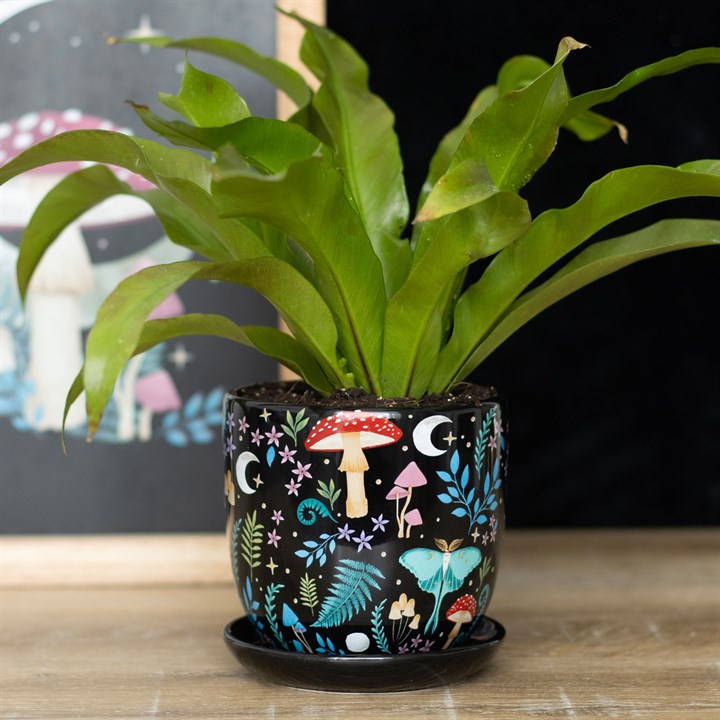 Eleanoras Dark Forest Plant Pot With Saucer Plant Pots