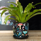 Eleanoras Dark Forest Plant Pot With Saucer Plant Pots