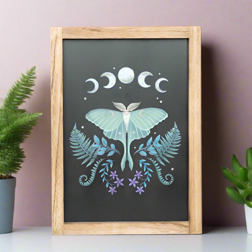 Eleanoras LUNA MOTH FRAMED PRINT Framed Prints