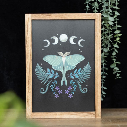 LUNA MOTH FRAMED PRINT Framed Prints from Eleanoras