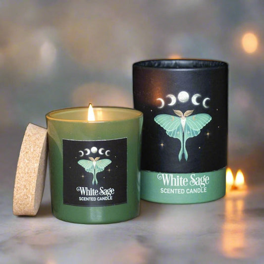 LUNA MOTH WHITE SAGE CANDLE Candles - Scented from Eleanoras