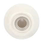 Clam Shell Salt and Pepper Shakers