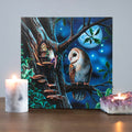 Eleanoras FAIRY TALES LIGHT UP CANVAS PLAQUE BY LISA PARKER Canvases