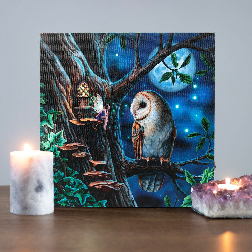 Eleanoras FAIRY TALES LIGHT UP CANVAS PLAQUE BY LISA PARKER Canvases