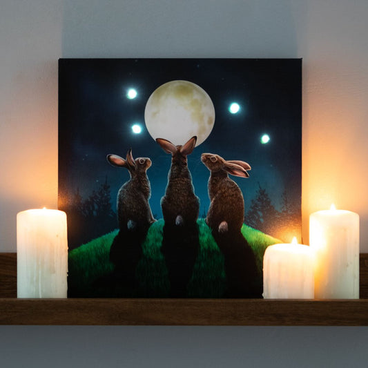 MOON SHADOWS LIGHT UP CANVAS PLAQUE Canvases from Eleanoras