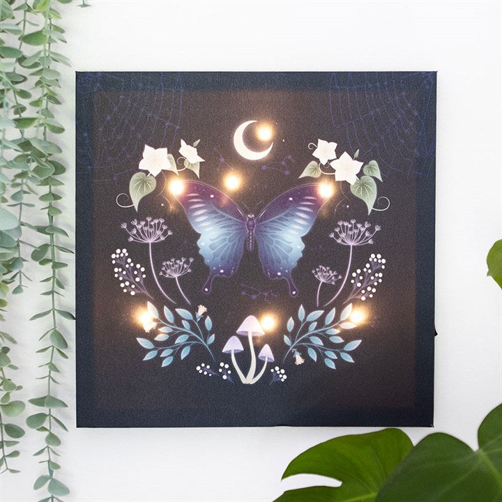 Eleanoras Midnight Moth Light Up Canvas Plaque Canvases