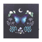 Eleanoras Midnight Moth Light Up Canvas Plaque Canvases