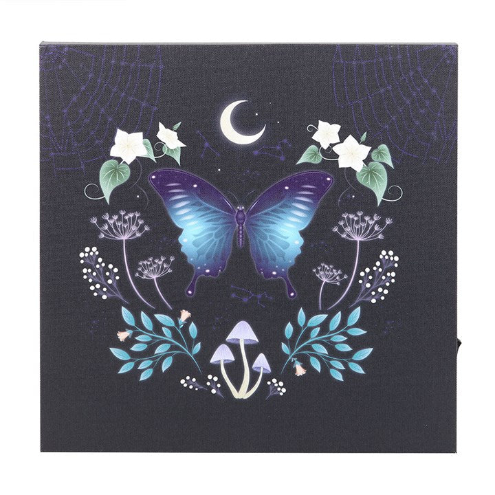 Eleanoras Midnight Moth Light Up Canvas Plaque Canvases