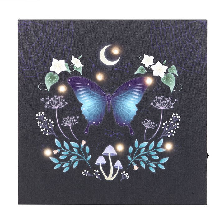 Eleanoras Midnight Moth Light Up Canvas Plaque Canvases