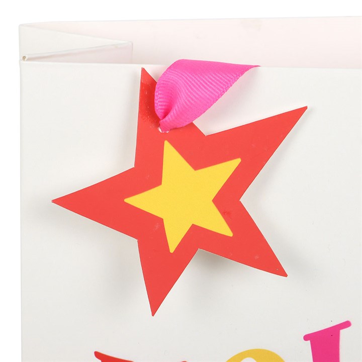 Eleanoras 23cm Holly Jolly Gift Bag Gift Bags