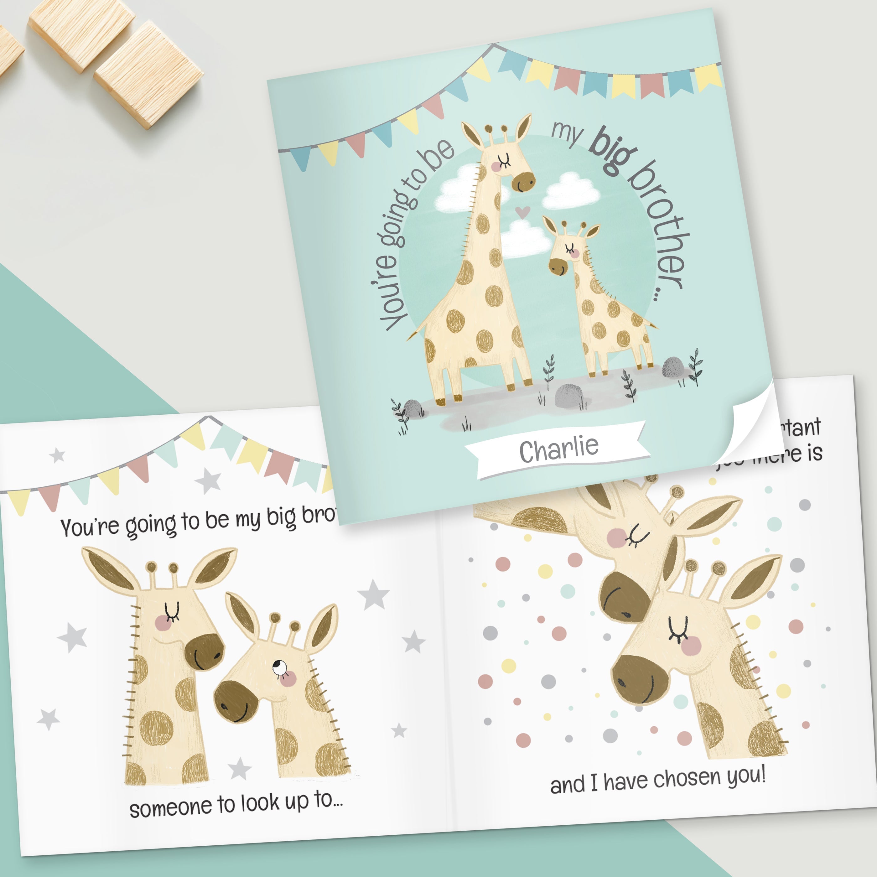 Eleanoras Personalised Big Brother Story Book Books