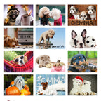 Eleanoras Personalised Barking Mad Dog Desk Calendar Calendars
