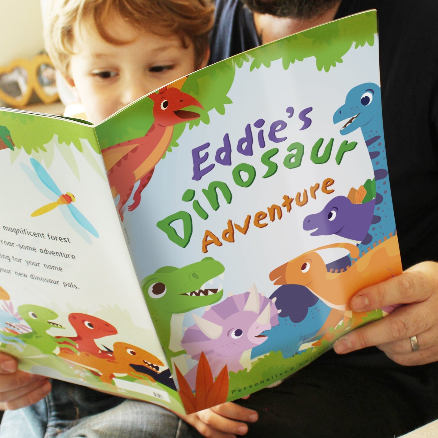 Eleanoras DINOSAUR ADVENTURE PERSONALISED STORY BOOK Books