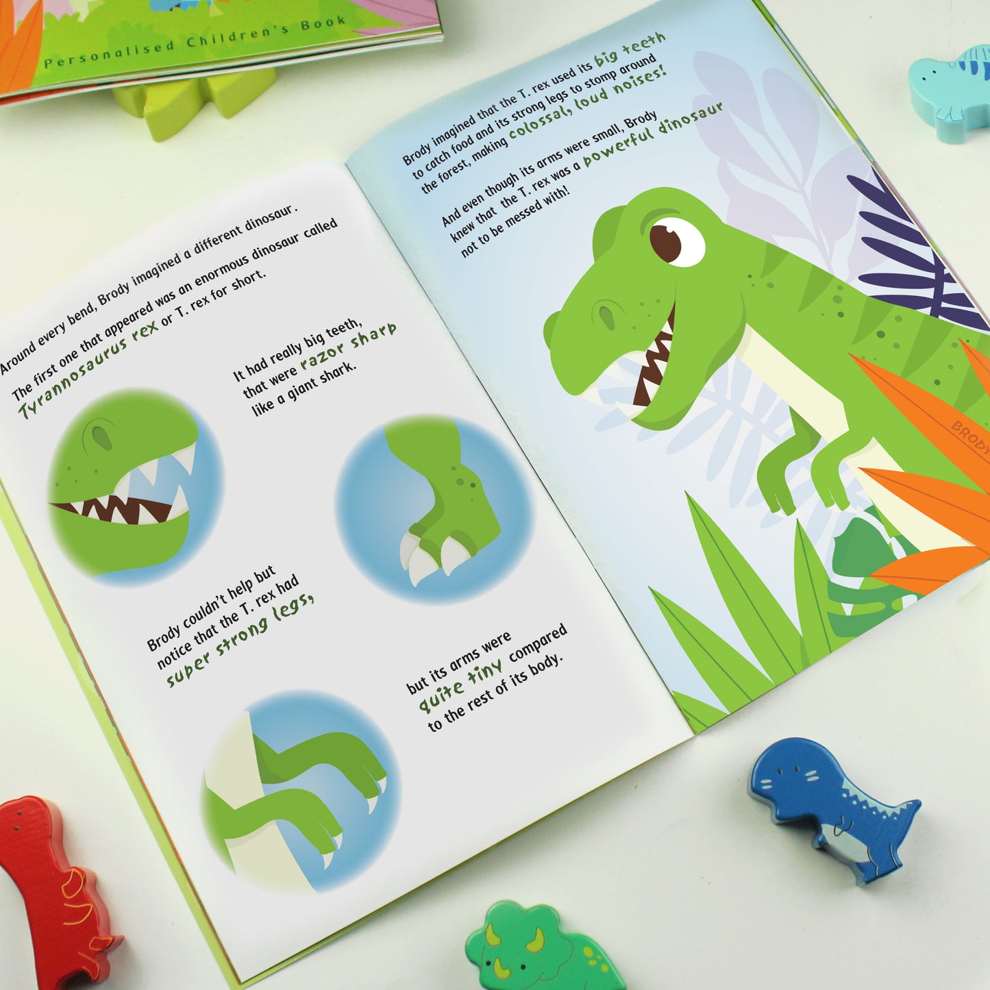 Eleanoras DINOSAUR ADVENTURE PERSONALISED STORY BOOK Books