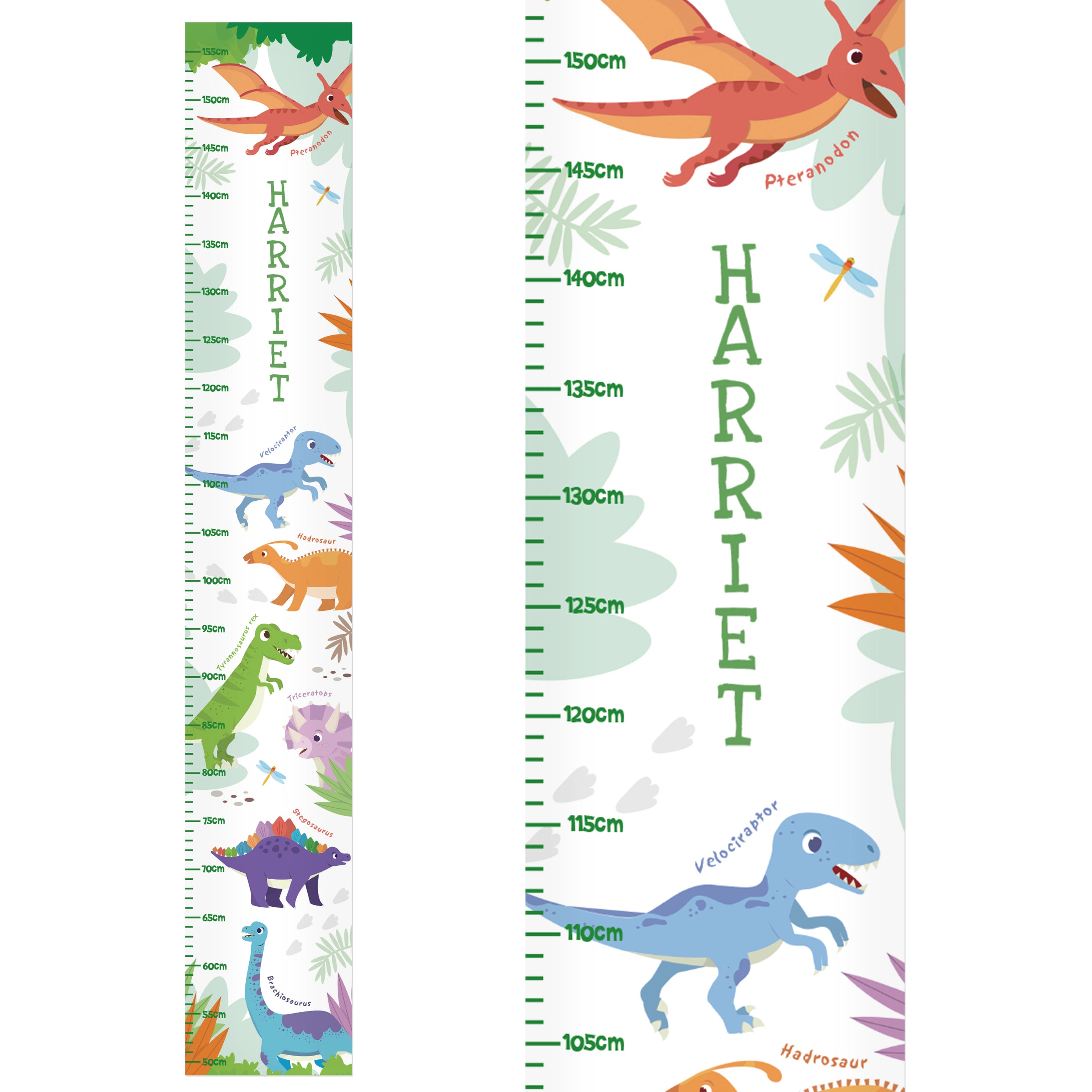 Eleanoras Personalised Dinosaur Height Chart 