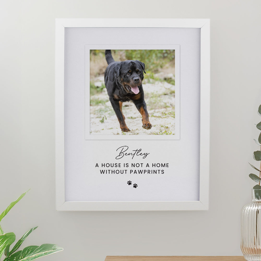 Eleanoras Personalised Pet Photo White Framed Print Framed Prints