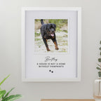 Eleanoras Personalised Pet Photo White Framed Print Framed Prints