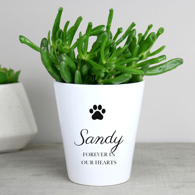 Eleanoras Personalised Paw Print Plant Pot Plant Pots