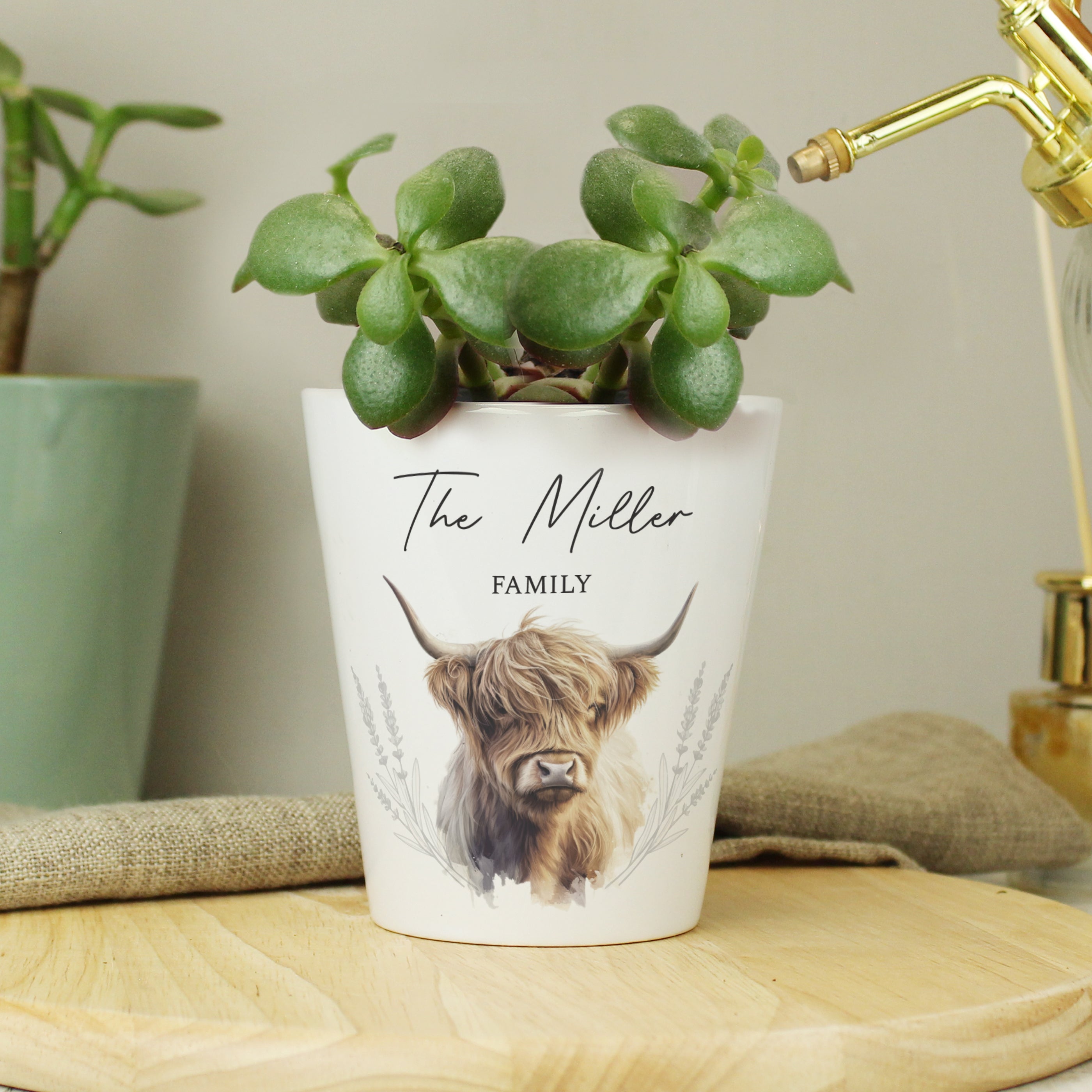 Eleanoras Personalised Highland Cow Plant Pot Plant Pots