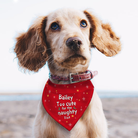 TOO CUTE FOR THE NAUGHTY LIST PERSONALISED DOG BANDANA