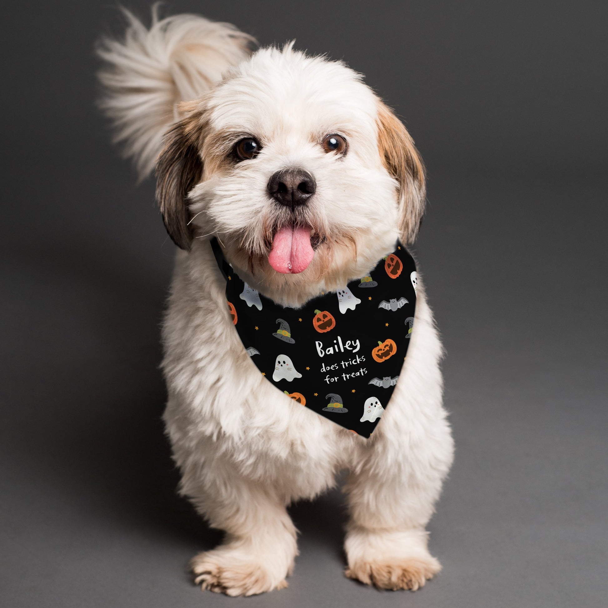 Eleanoras HALLOWEEN PERSONALISED DOG BANDANA PET CLOTHING