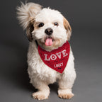 Eleanoras Personalised Love is... Dog Bandana Pet Accessories
