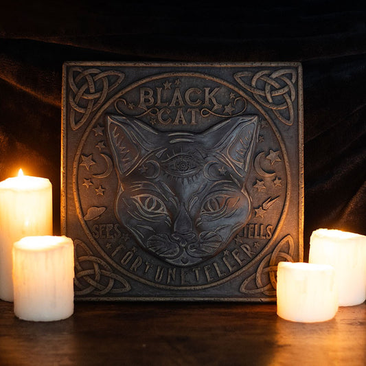 BLACK CAT STEPPING STONE