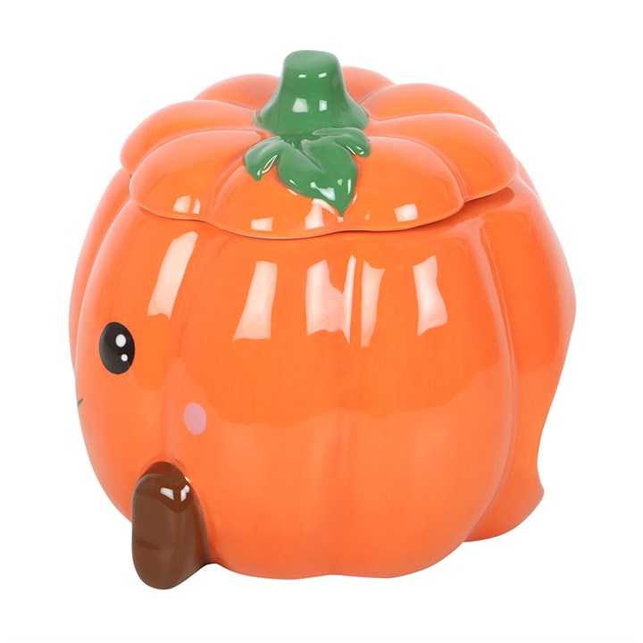 Eleanoras Cute Smiling Pumpkin Oil Burner and Wax Warmer 