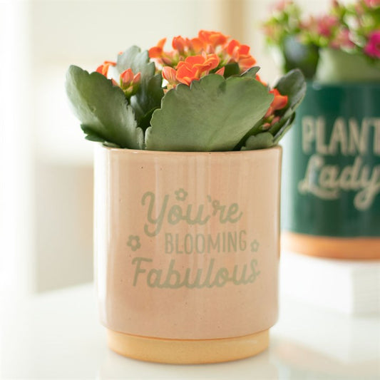 BLOOMING FABULOUS CREAM SPECKLE PLANT POT Plant Pots from Eleanoras