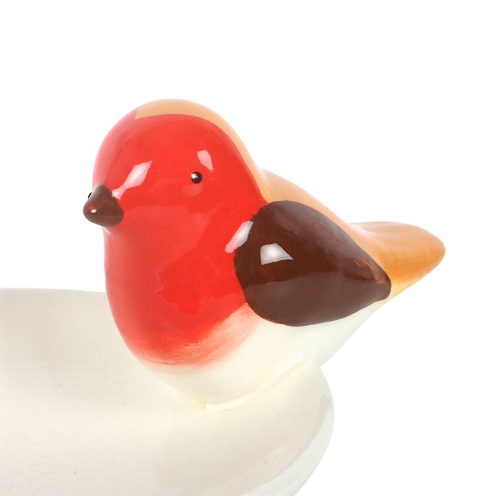 Robin Bird Bath Trinket Dish