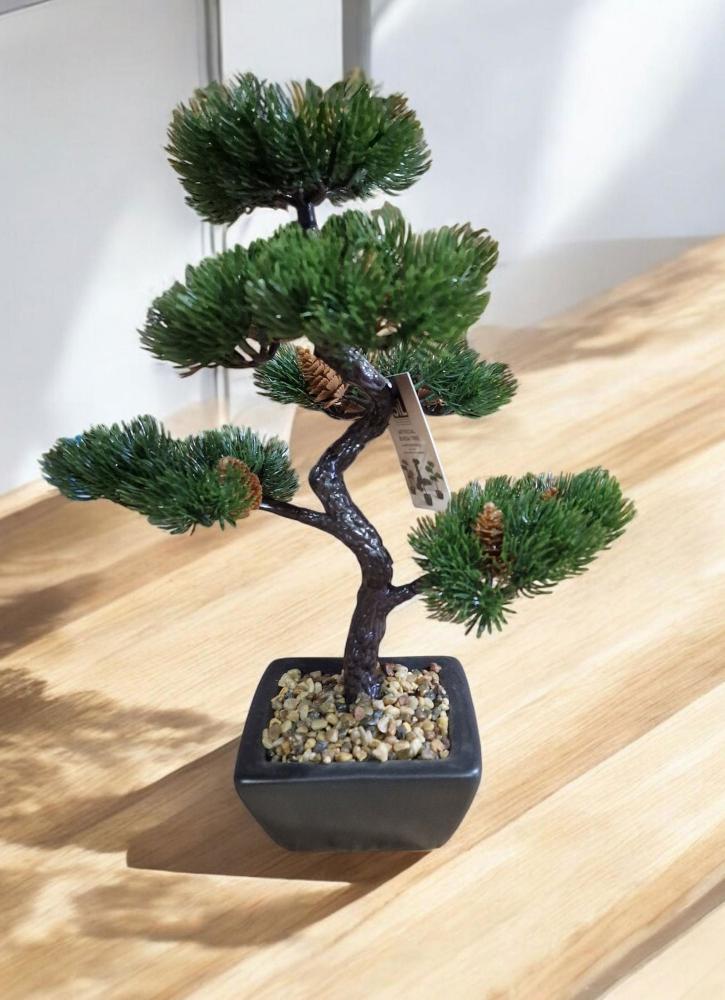 Eleanoras BONSAI TREE DECORATION FIR TREE 37cm Artificial Plants & Flowers