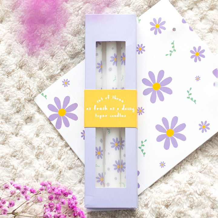 Eleanoras Set of 3 Purple Daisy Taper Candles 