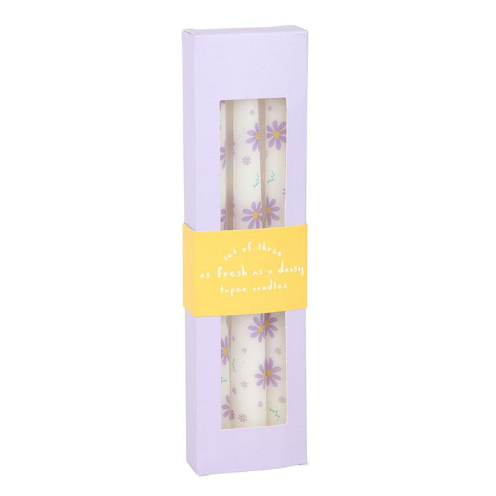 Eleanoras Set of 3 Purple Daisy Taper Candles 