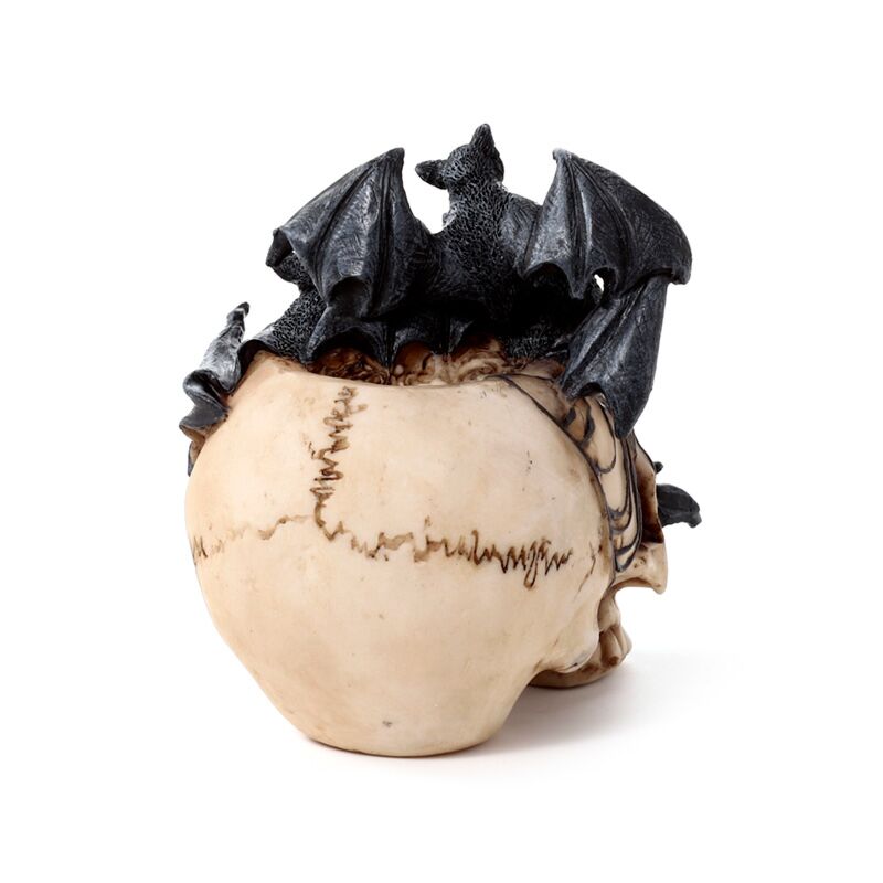 Skull with Bats Crawling Inside
