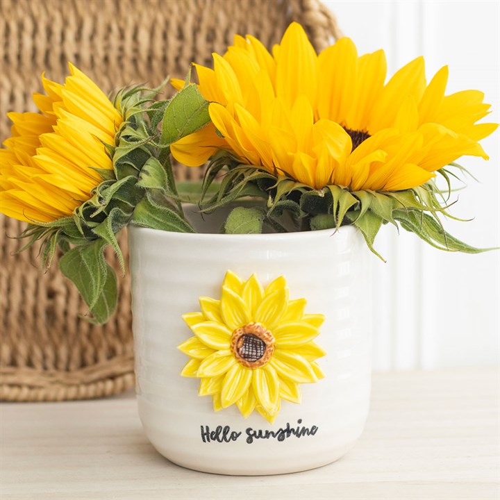 Eleanoras Hello Sunshine Plant Pot With 3d Sunflower Plant Pots