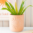 Eleanoras Sun Terracotta Plant Pot Plant Pots