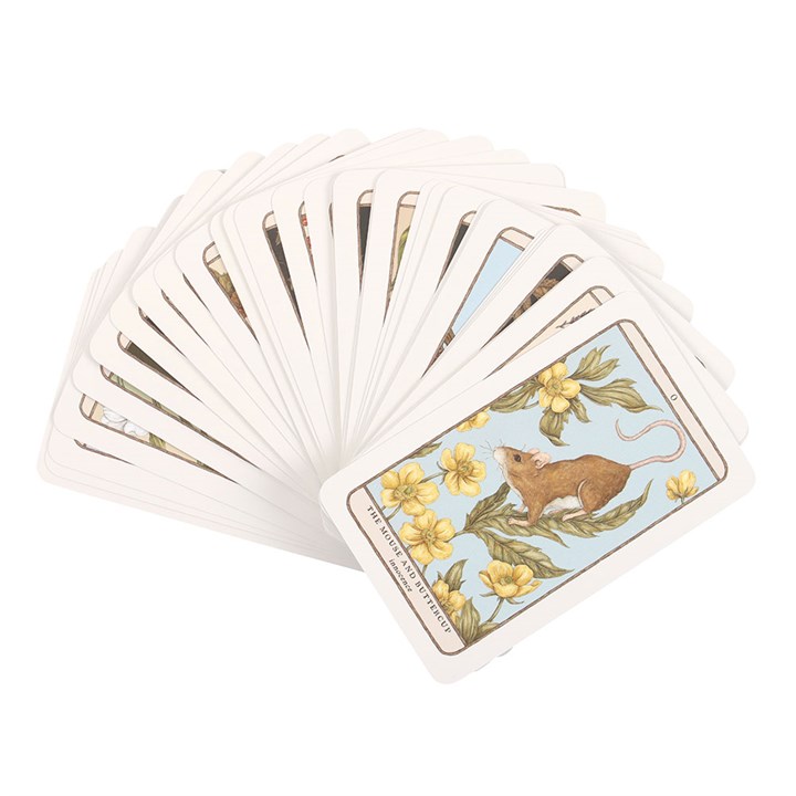 Eleanoras Woodland Wardens Oracle Cards Oracle Cards