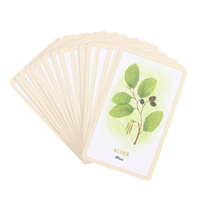 Eleanoras Forest Magic Oracle Cards Oracle Cards