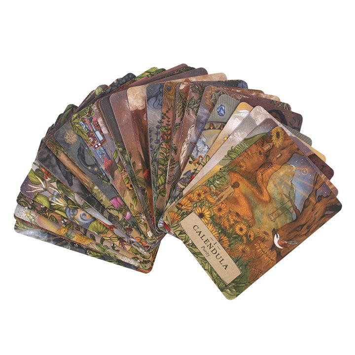 Eleanoras The Herbal Astrology Oracle Cards Oracle Cards