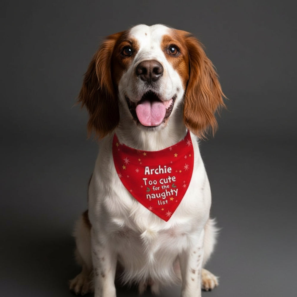 Personalised 'Too cute for the naughty list' Dog Bandana