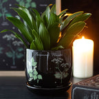 Eleanoras Poisonous Plants Plant Pot 